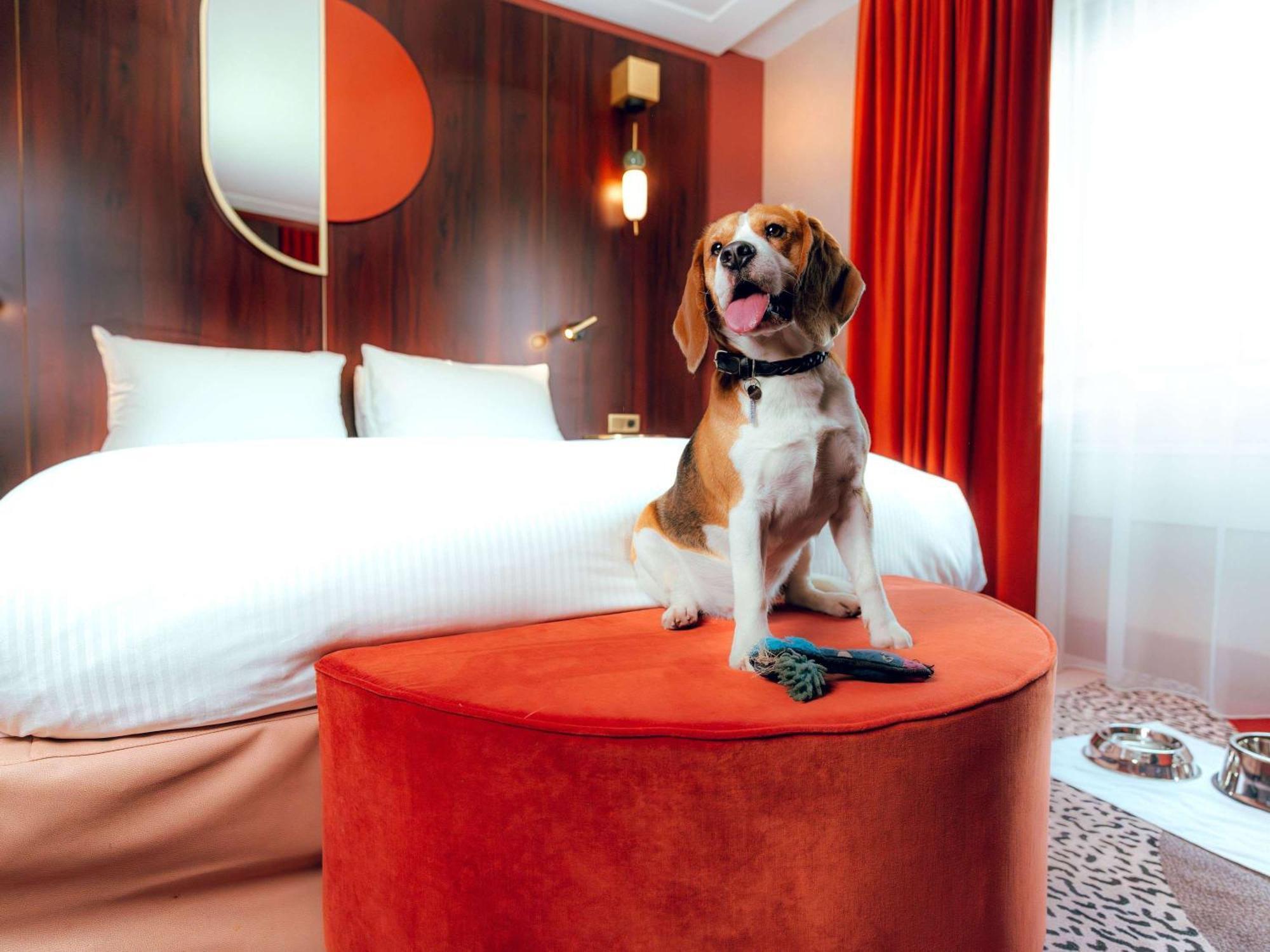 Nest Paris La Defense - Mgallery Puteaux Luaran gambar A dog in a hotel room